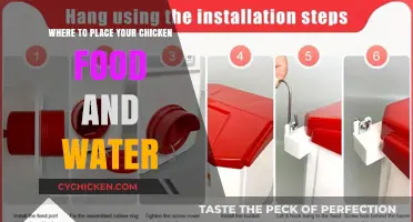 Optimal Placement Tips for Chicken Feeders and Waterers
