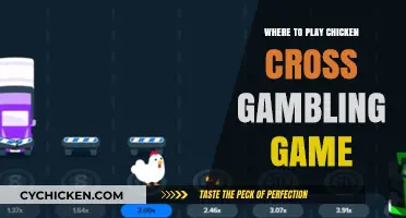 Discover Top Venues to Play Chicken Cross Gambling Game