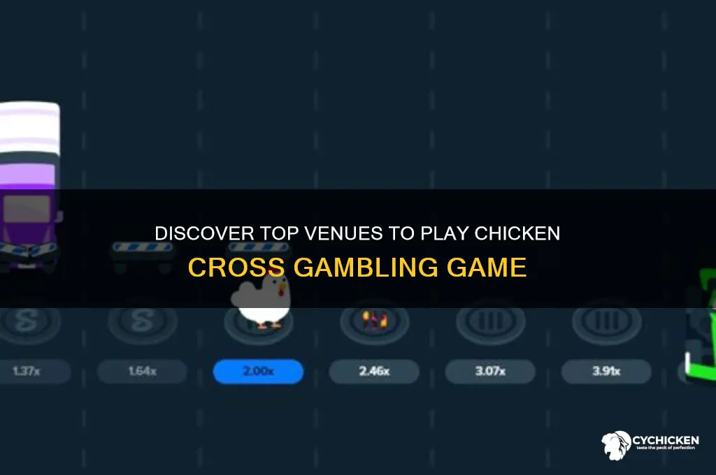 where to play chicken cross gambling game