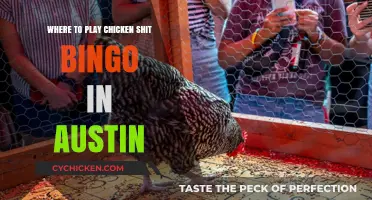 Austin's Quirkiest Fun: Top Spots for Chicken Shit Bingo