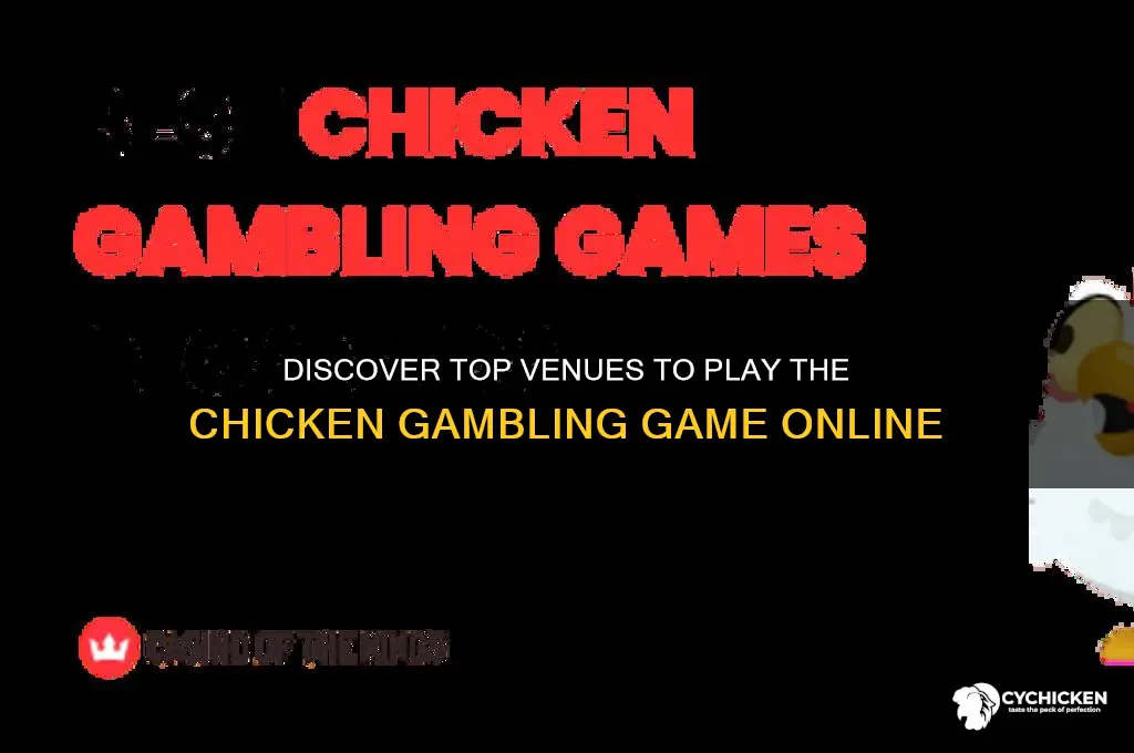 where to play the chicken gambling game