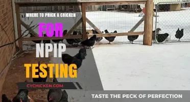 Optimal Chicken Prick Sites for Accurate NPIP Testing Results