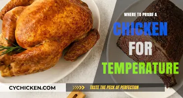 Perfectly Cooked Chicken: Best Spots to Check Internal Temperature