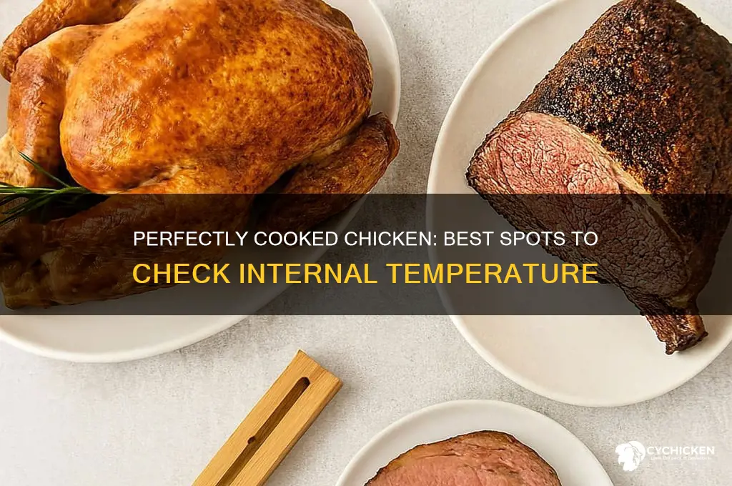 where to probe a chicken for temperature