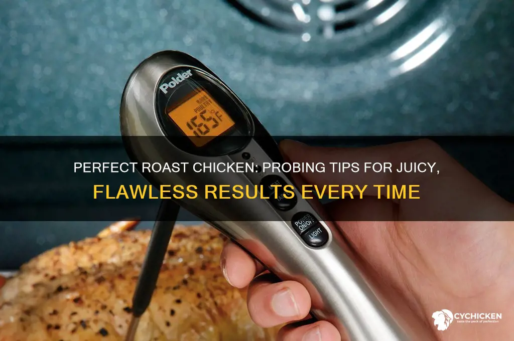 where to probe a roast chicken