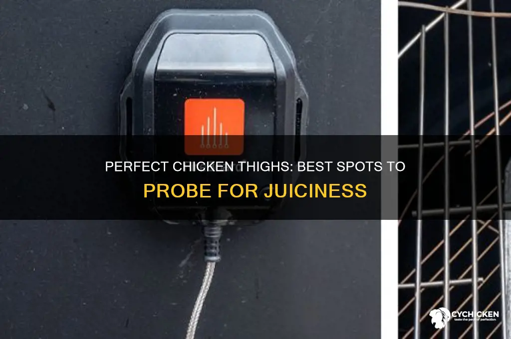 where to probe chicken thigh