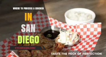 San Diego Chicken Processing: Top Local Options for Quality Service
