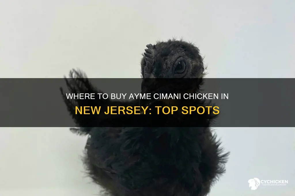 where to purchace ayme cimani chicken nj