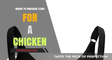 Where to Buy a Chicken Bra: Top Retailers and Tips
