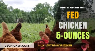 Where to Buy 5-Ounce Grass-Fed Chicken: Top Retailers & Tips
