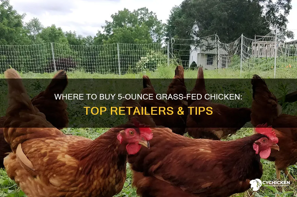 where to purchase grass fed chicken 5-ounces