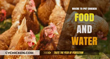 Optimal Placement for Chicken Feeders and Waterers: A Practical Guide