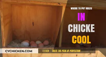 Perfect Placement: Where to Put Holes in Chicken Cool for Even Cooking
