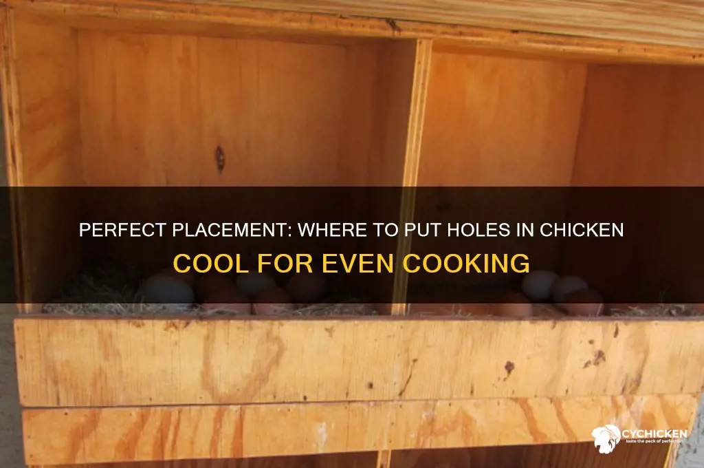 where to put holes in chicke cool