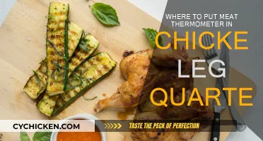 Best Placement for Meat Thermometer in Chicken Leg Quarters