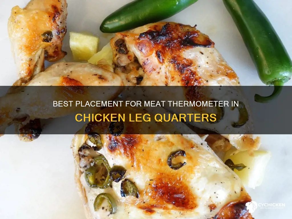 where to put meat thermometer in chicken leg quarter