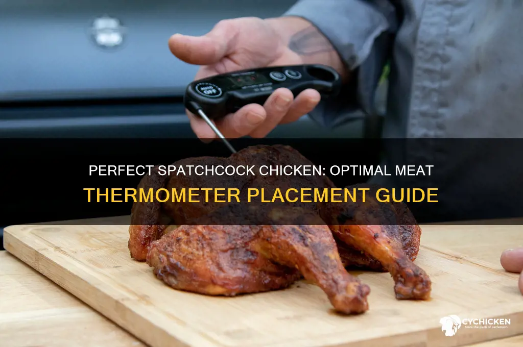 where to put meat thermometer in spatchcock chicken