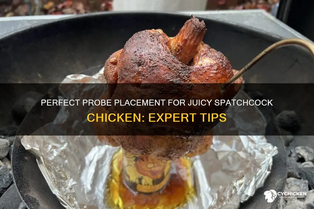where to put probe in spatchcock chicken