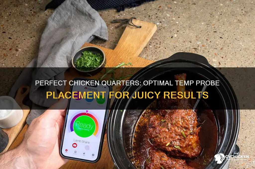 where to put temp probe in chicken quarters