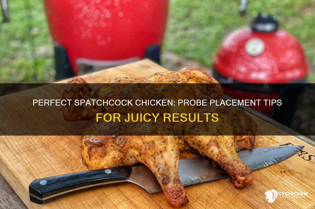 where to put the probe in spatchcock chicken