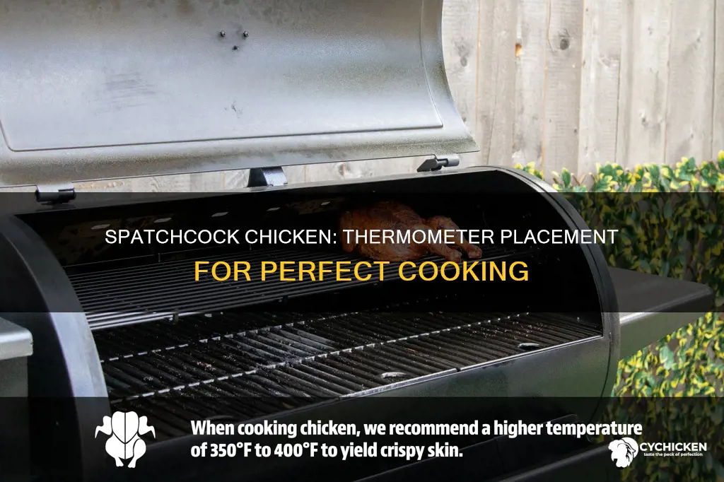 where to put the thermometer in a spatchcock chicken