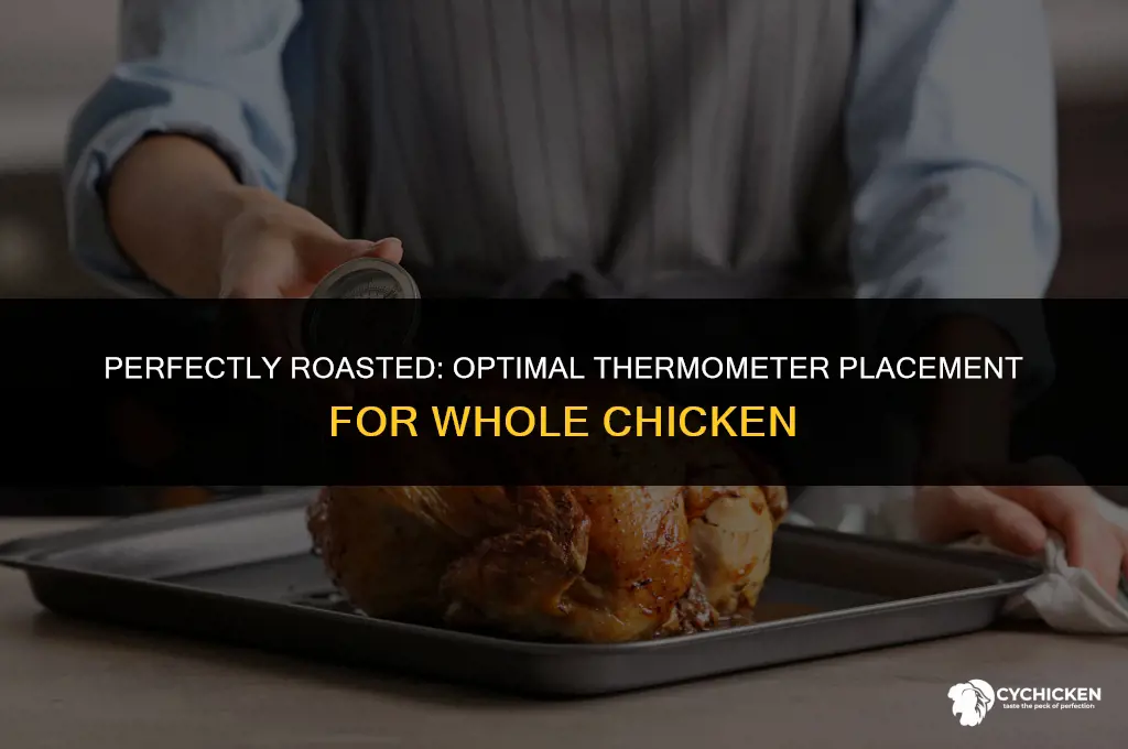 where to put thermoketer in whole chicken