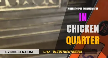 Perfect Chicken Quarters: Optimal Thermometer Placement for Juicy Results
