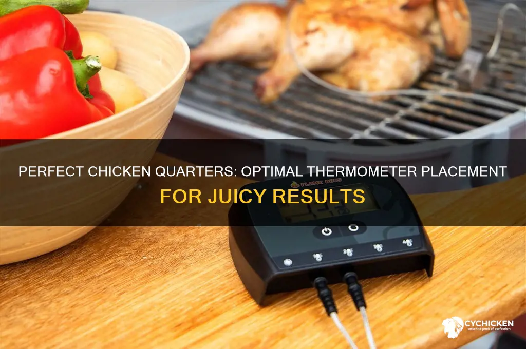 where to put thermometer in chicken quarter