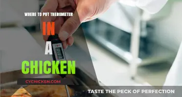 Proper Thermometer Placement for Accurate Chicken Temperature Readings