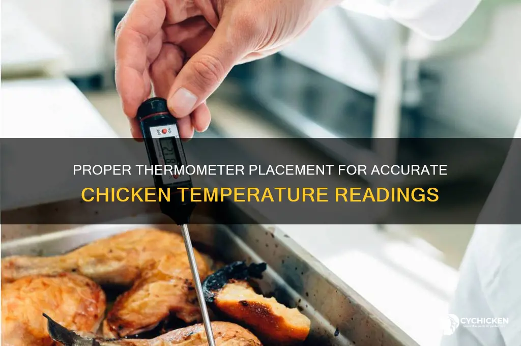 where to put therometer in a chicken