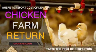 Chicken Farm Cost Reporting: Where to Begin?