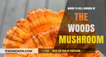 Top Spots to Sell Chicken of the Woods Mushrooms Profitably