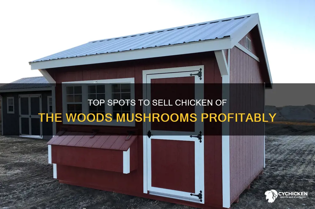 where to sell chicken of the woods