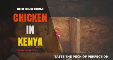 Top Profitable Markets for Selling Kienyeji Chicken in Kenya