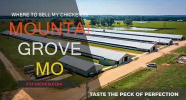 Best Places to Sell Your Chicken in Mountain Grove, MO
