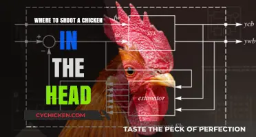 Effective and Humane Methods for Dispatching Chickens: Headshot Guide