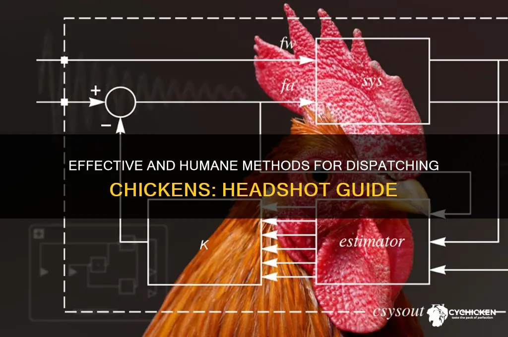 where to shoot a chicken in the head