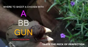 The Best Spot to Shoot a Chicken with a BB Gun
