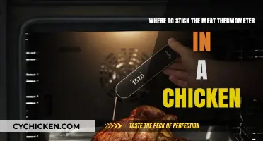 Chicken Thermometer Placement: Where to Stick It?