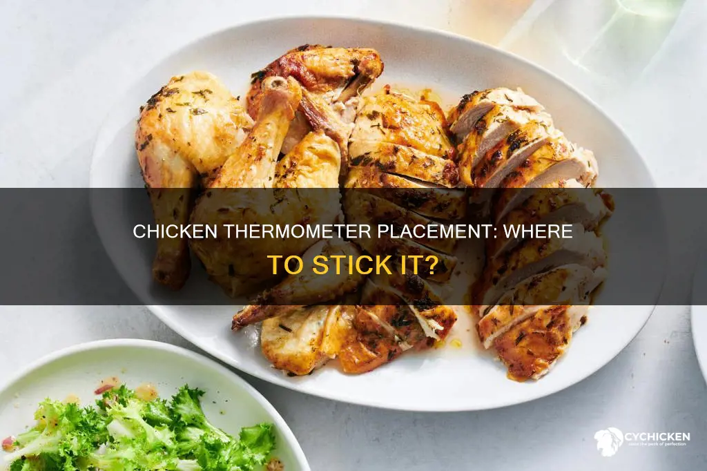 where to stick the meat thermometer in a chicken