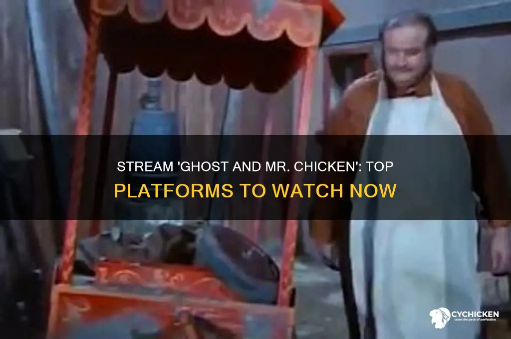 where to stream ghost and mr chicken