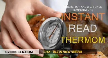 Instant-Read Thermometer: Chicken Temperature Guide