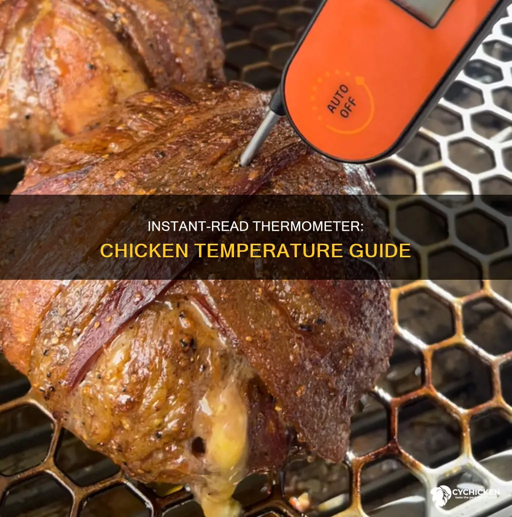where to take a chicken temperature instant read thermometer