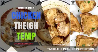Perfect Chicken Thighs: Ideal Temperature Tips for Juicy Results