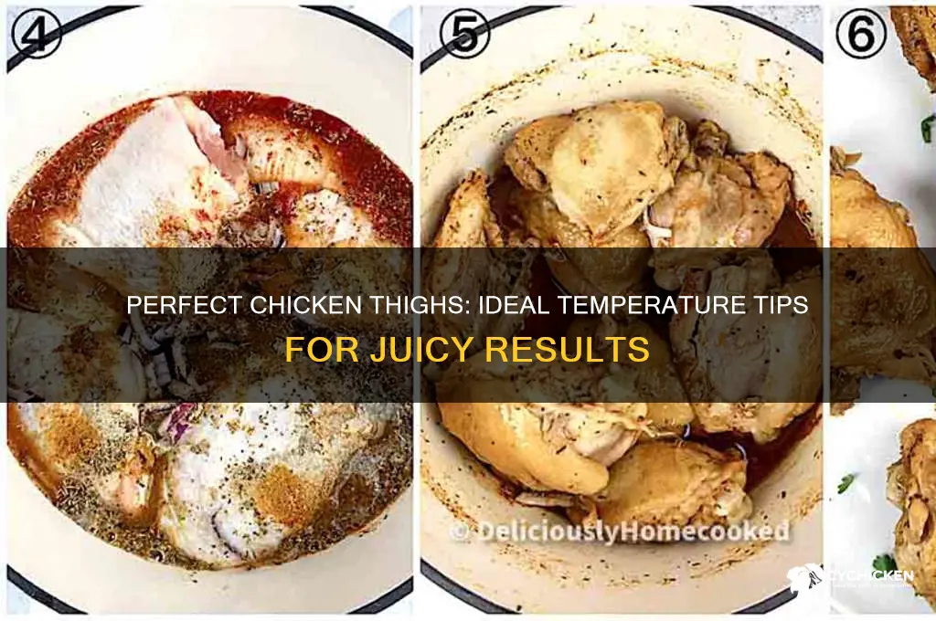 where to take a chicken theigh temp