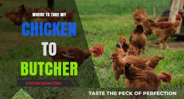 Finding the Perfect Butcher for Your Chicken: A Local Guide