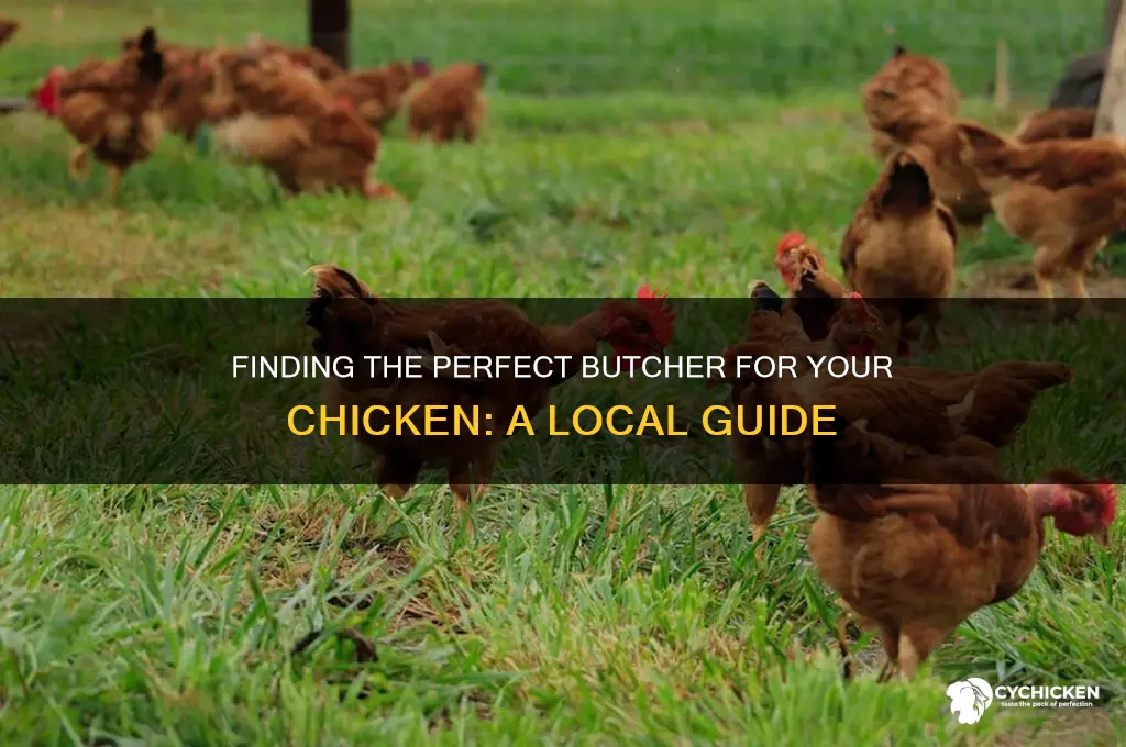 where to take my chicken to butcher