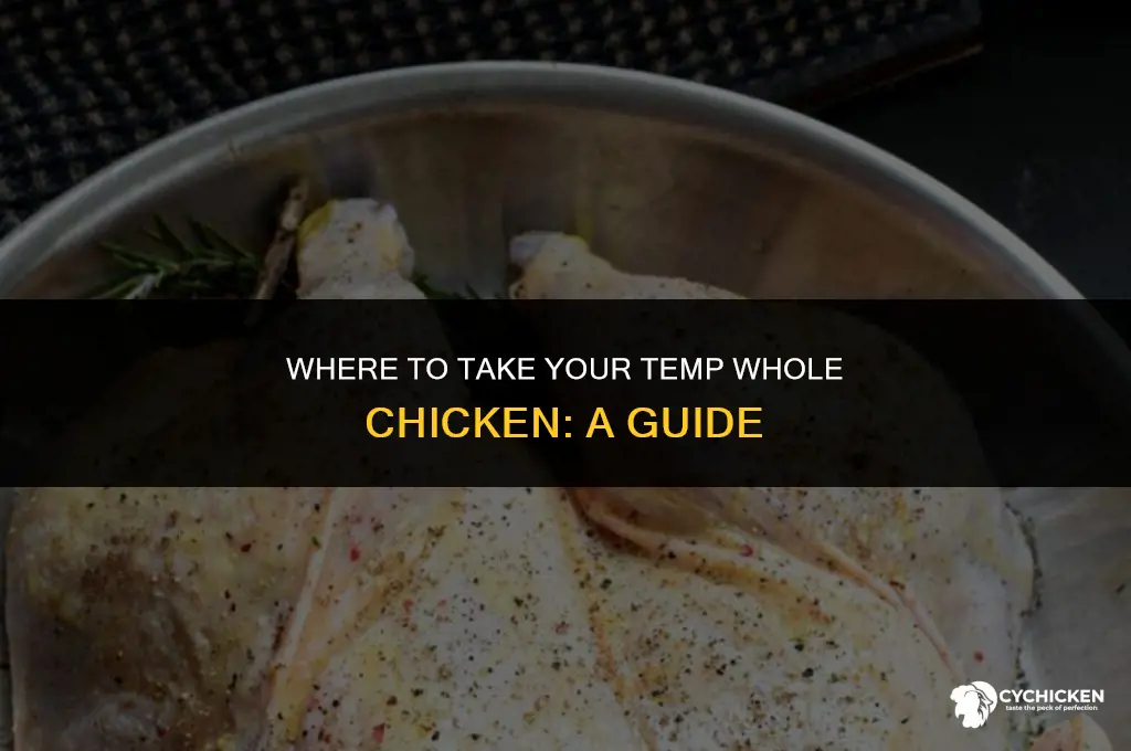 where to take temp whole chicken