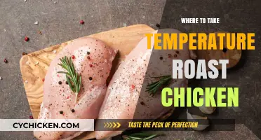 Perfect Roast Chicken: Best Spots to Check Internal Temperature