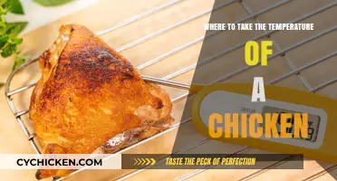 Perfect Poultry Check: Best Spots to Take Chicken Temperature